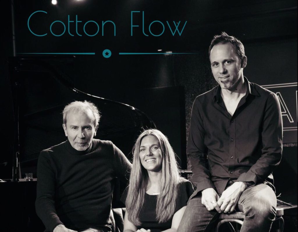 Concert Cotton Flow