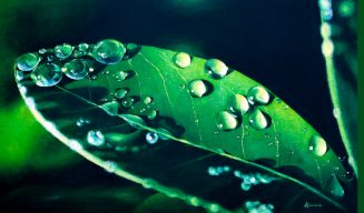 Exposition picturale "Evasion"